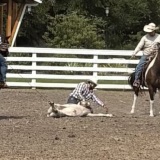 IMG_3652