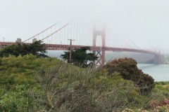 Golden Gate Bridge (by Bob Basye)