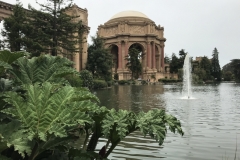de Young Museum